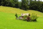 2014-07-05_Laengental-N-Hochweg (280). JPG